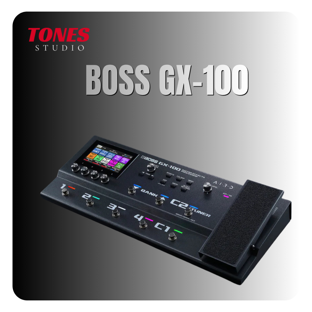 BOSS GX100